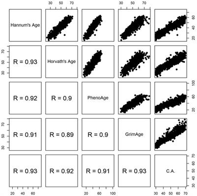 Epigenetic clocks derived from western samples differentially reflect Taiwanese health outcomes